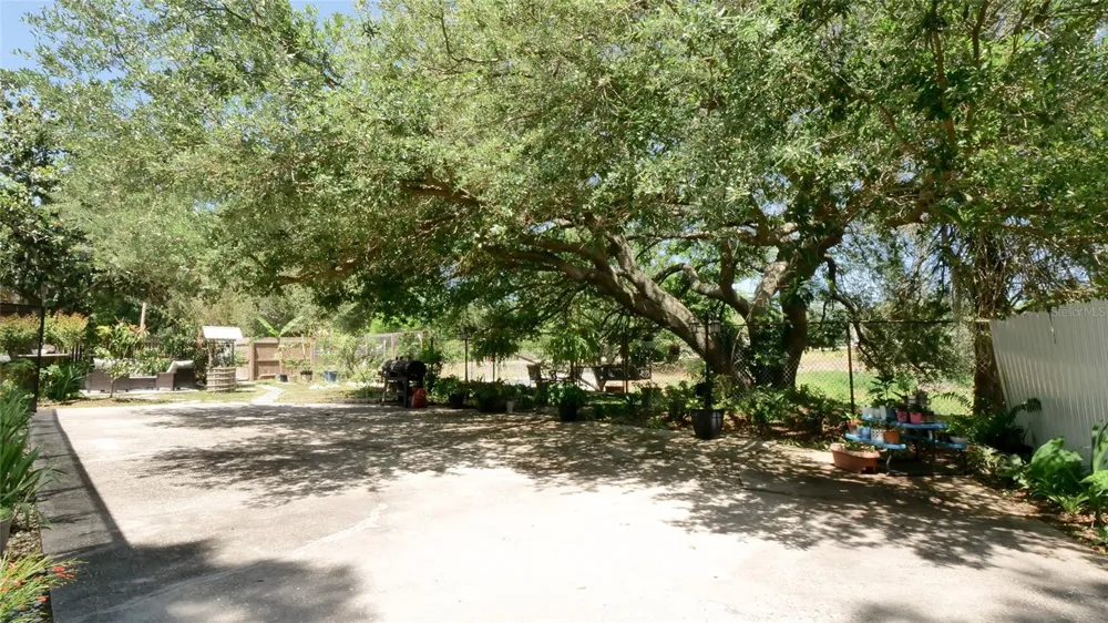 1307 NORMANDY CIRCLE Palm Harbor, FL 34683