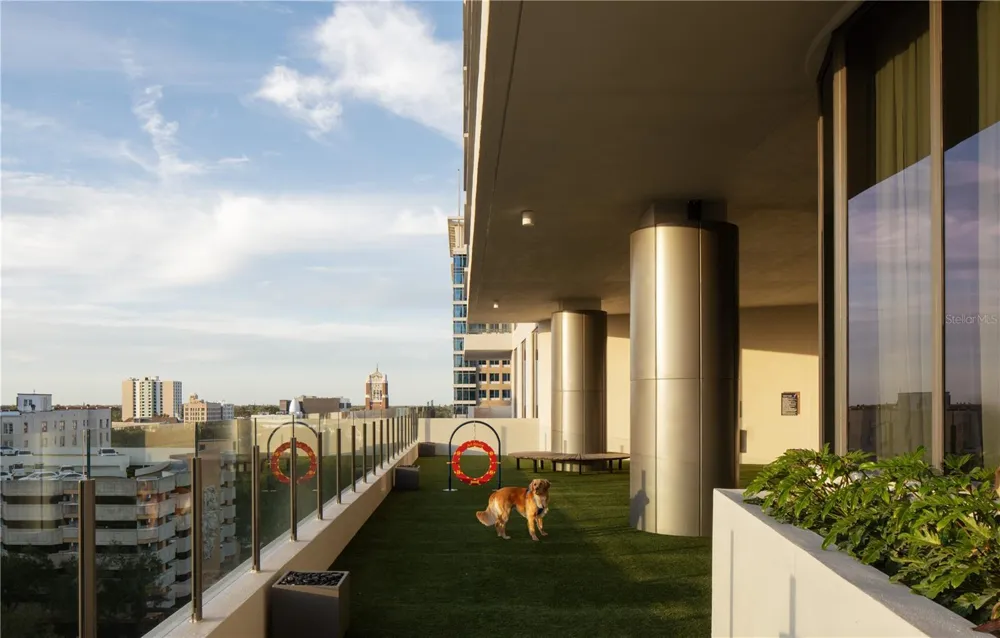 275 1ST AVENUE S #1502 St Petersburg, FL 33701