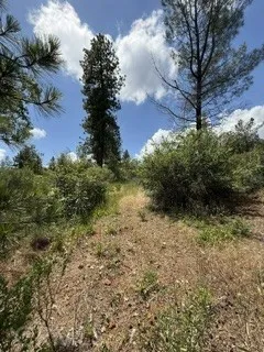 Feather Ridge Berry Creek, CA 95916