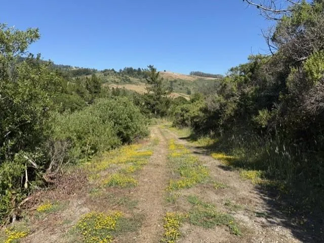 2851 Tunitas Creek Road Half Moon Bay, CA 94019