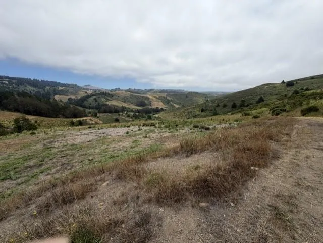2851 Tunitas Creek Road Half Moon Bay, CA 94019