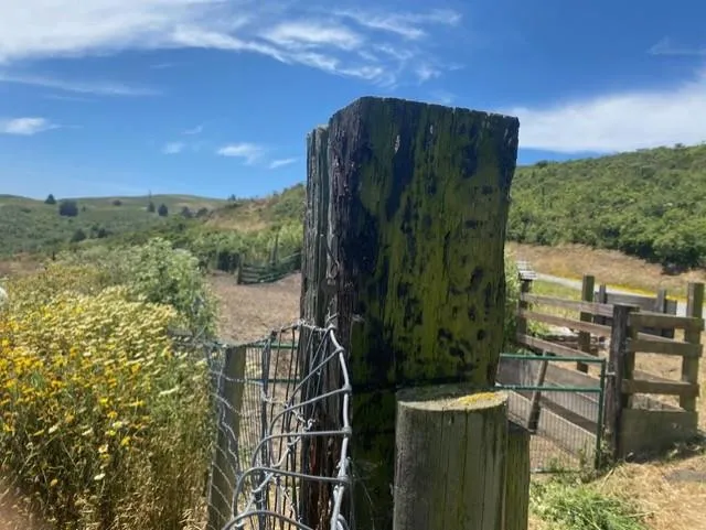 2851 Tunitas Creek Road Half Moon Bay, CA 94019