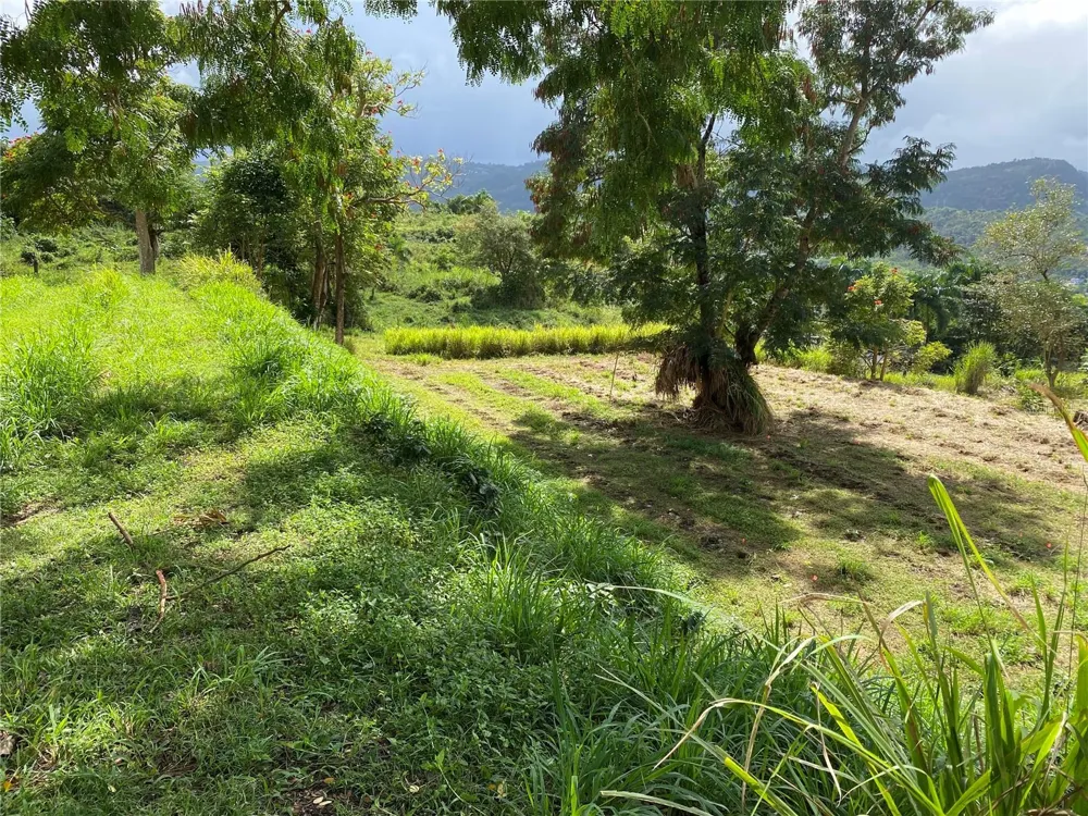 QUEBRADA GRANDE Trujillo Alto, PR 00976