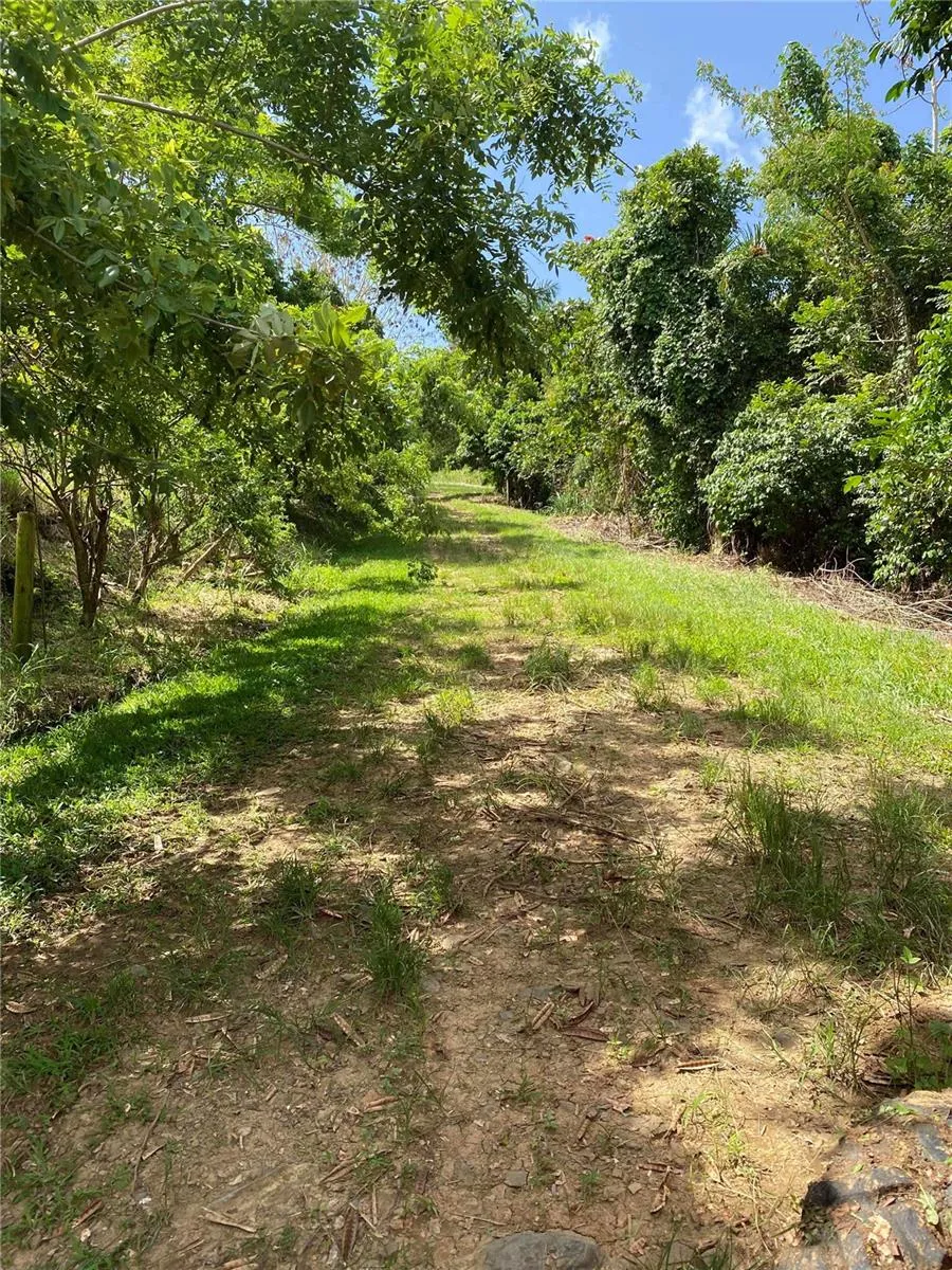 QUEBRADA GRANDE Trujillo Alto, PR 00976