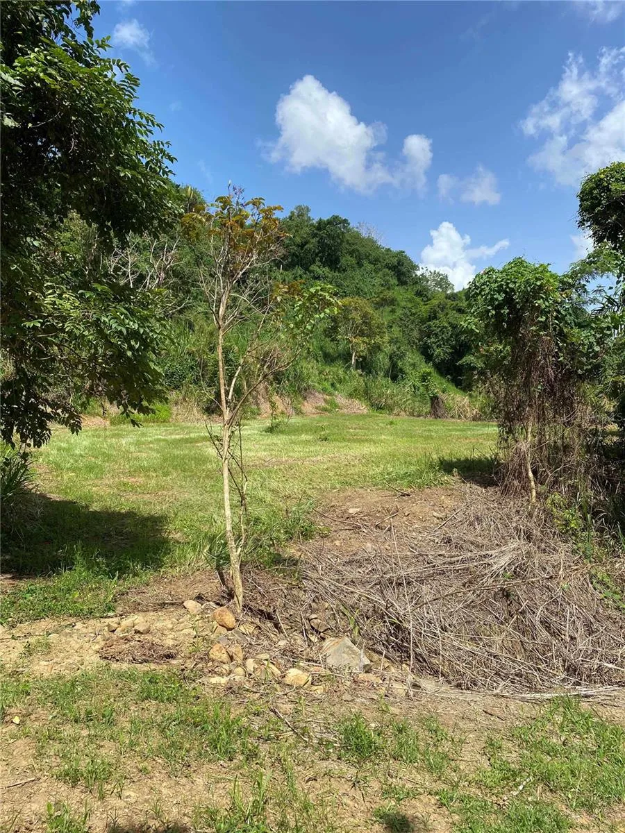 QUEBRADA GRANDE Trujillo Alto, PR 00976