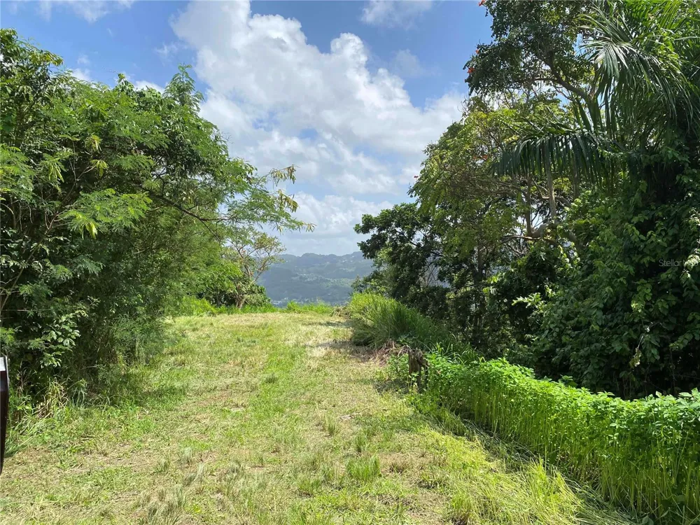 QUEBRADA GRANDE Trujillo Alto, PR 00976