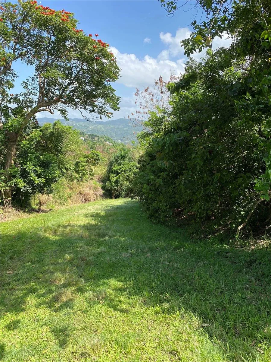 QUEBRADA GRANDE Trujillo Alto, PR 00976