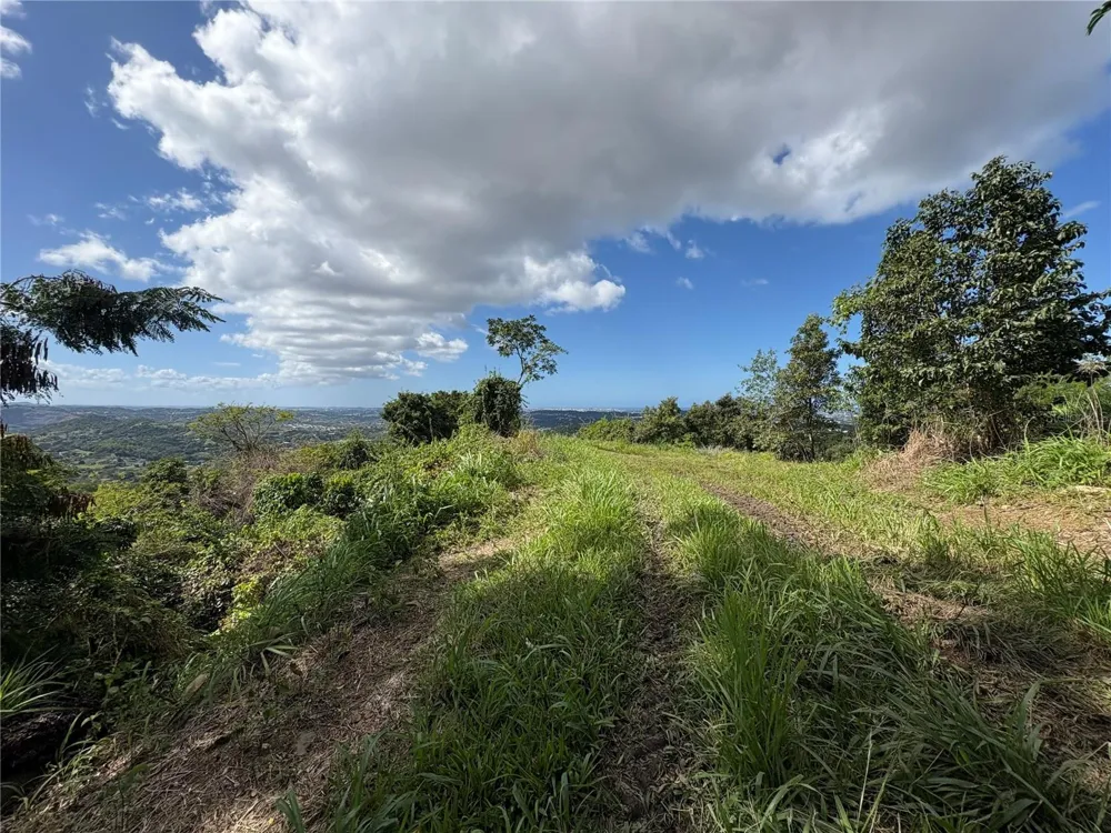 QUEBRADA GRANDE Trujillo Alto, PR 00976