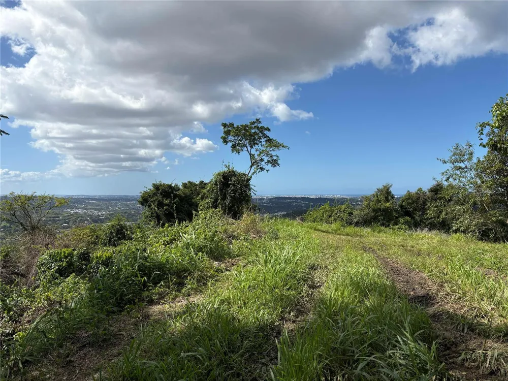 QUEBRADA GRANDE Trujillo Alto, PR 00976