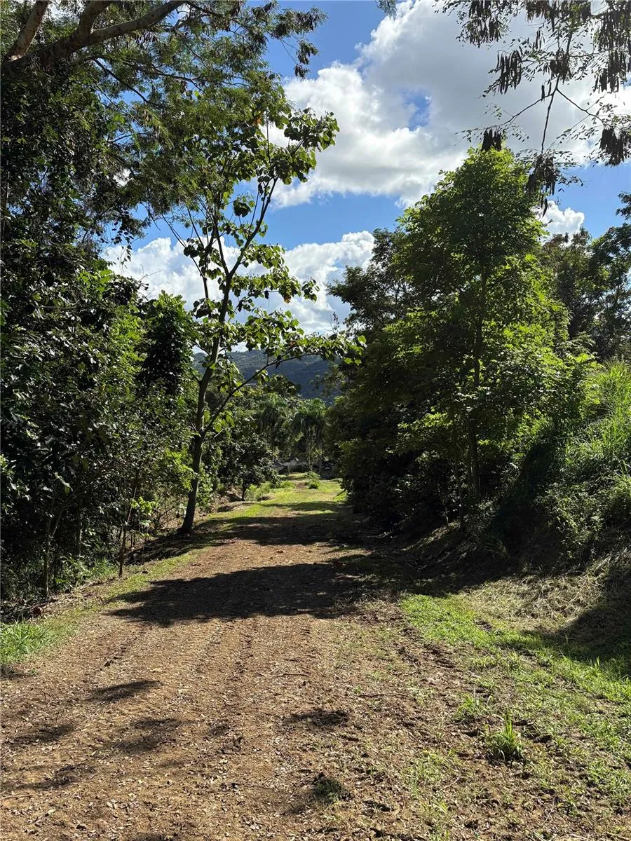 QUEBRADA GRANDE Trujillo Alto, PR 00976