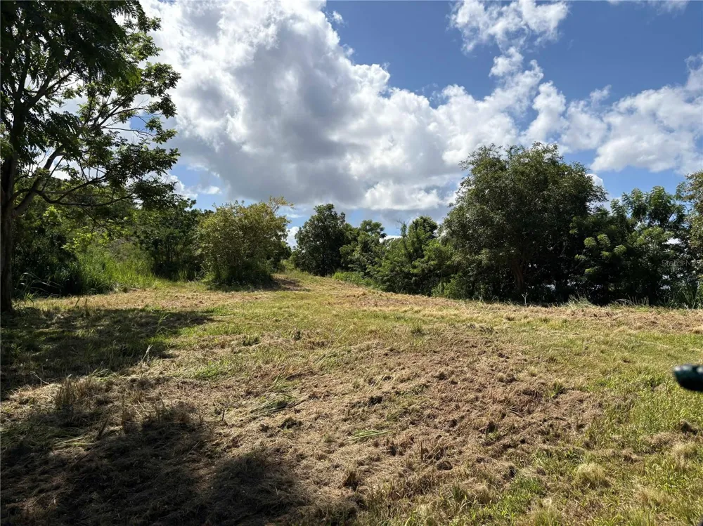 QUEBRADA GRANDE Trujillo Alto, PR 00976