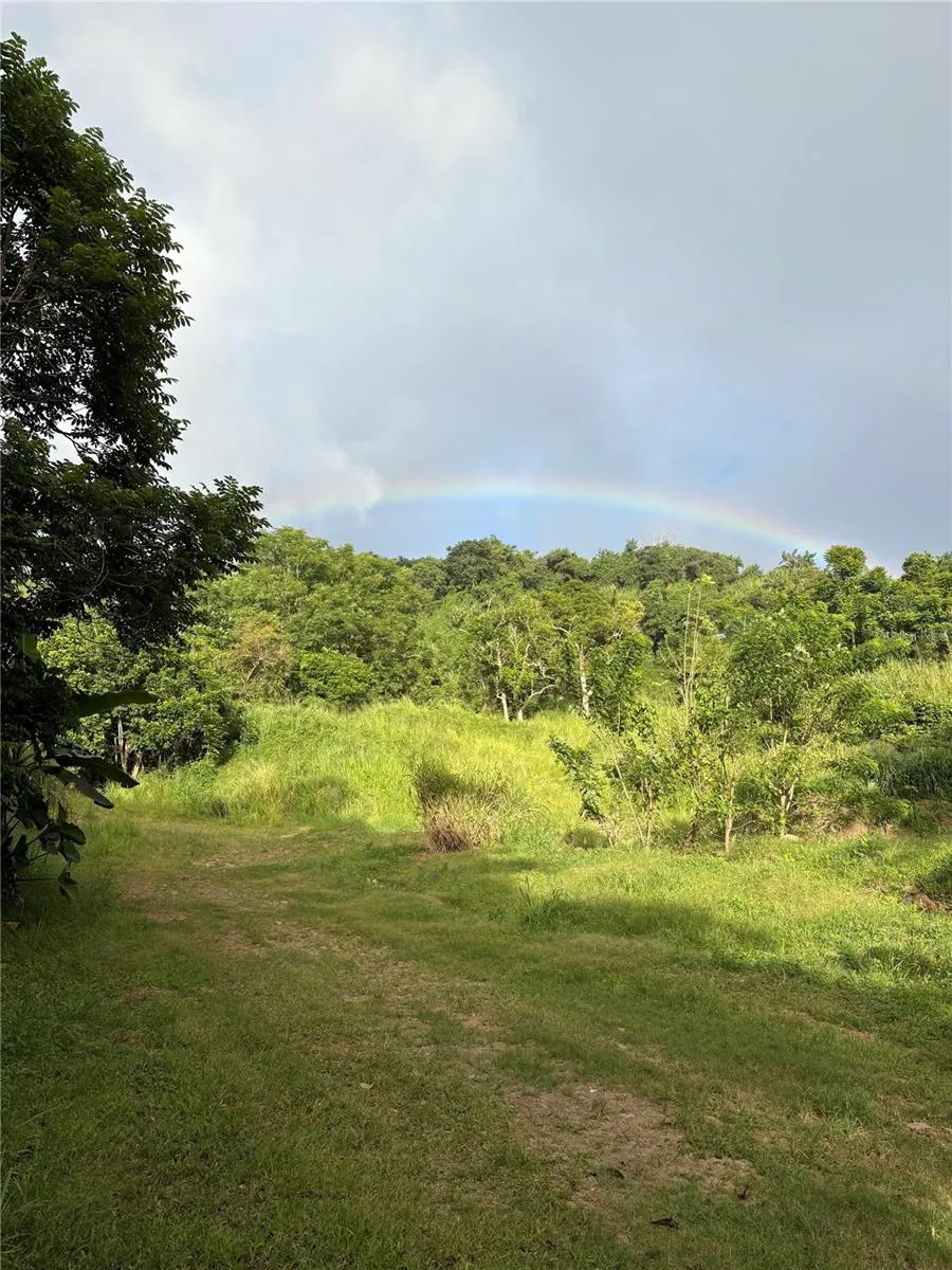 QUEBRADA GRANDE Trujillo Alto, PR 00976