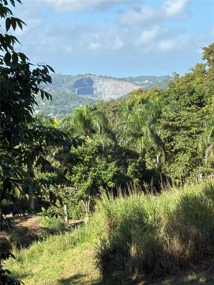QUEBRADA GRANDE Trujillo Alto, PR 00976