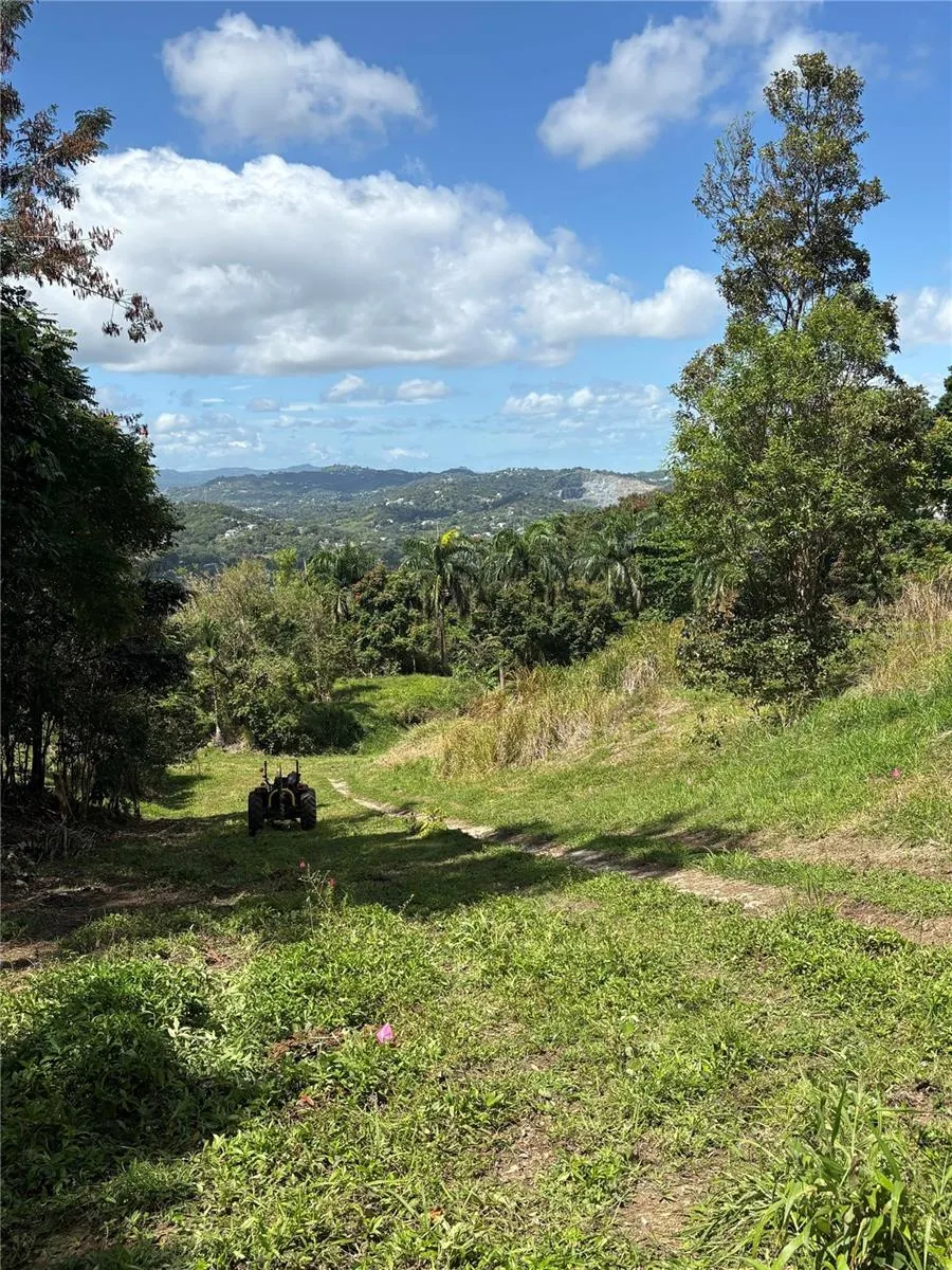 QUEBRADA GRANDE Trujillo Alto, PR 00976