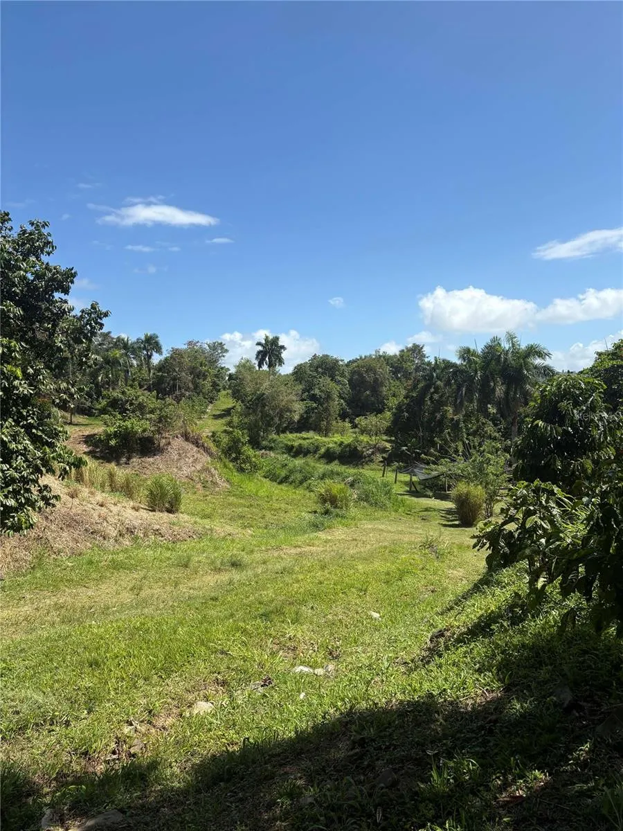 QUEBRADA GRANDE Trujillo Alto, PR 00976