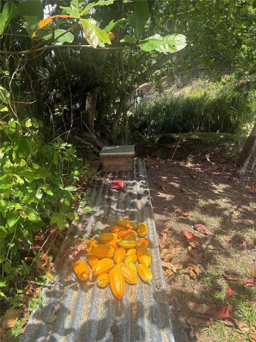 QUEBRADA GRANDE Trujillo Alto, PR 00976