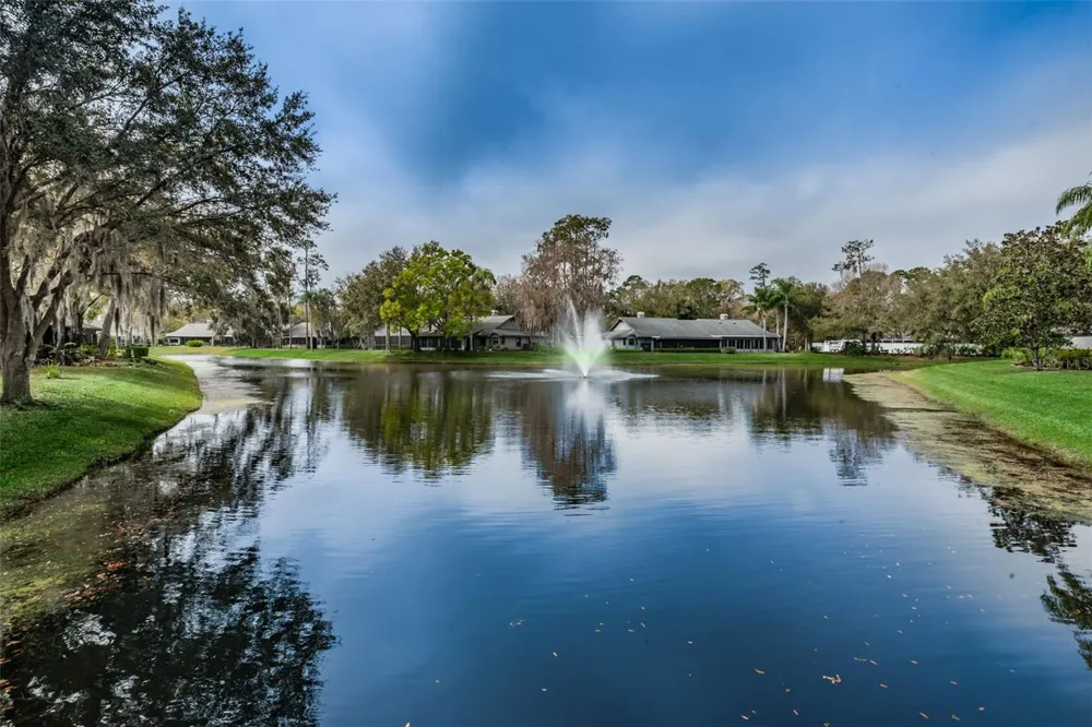 900 LUCAS LANE Oldsmar, FL 34677