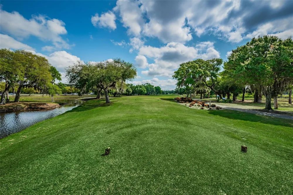 900 LUCAS LANE Oldsmar, FL 34677