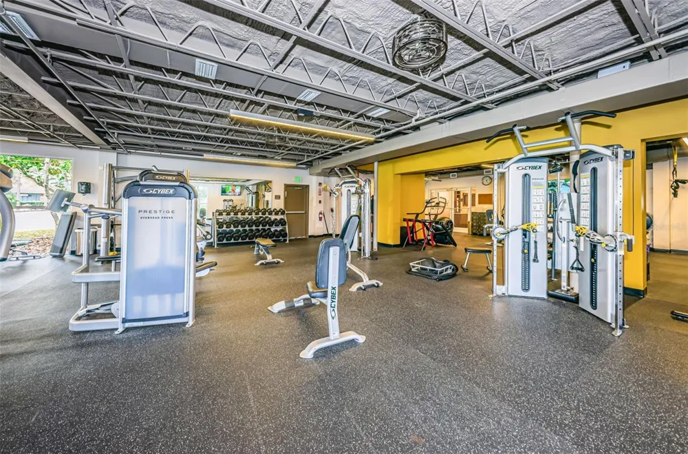 900 LUCAS LANE Oldsmar, FL 34677