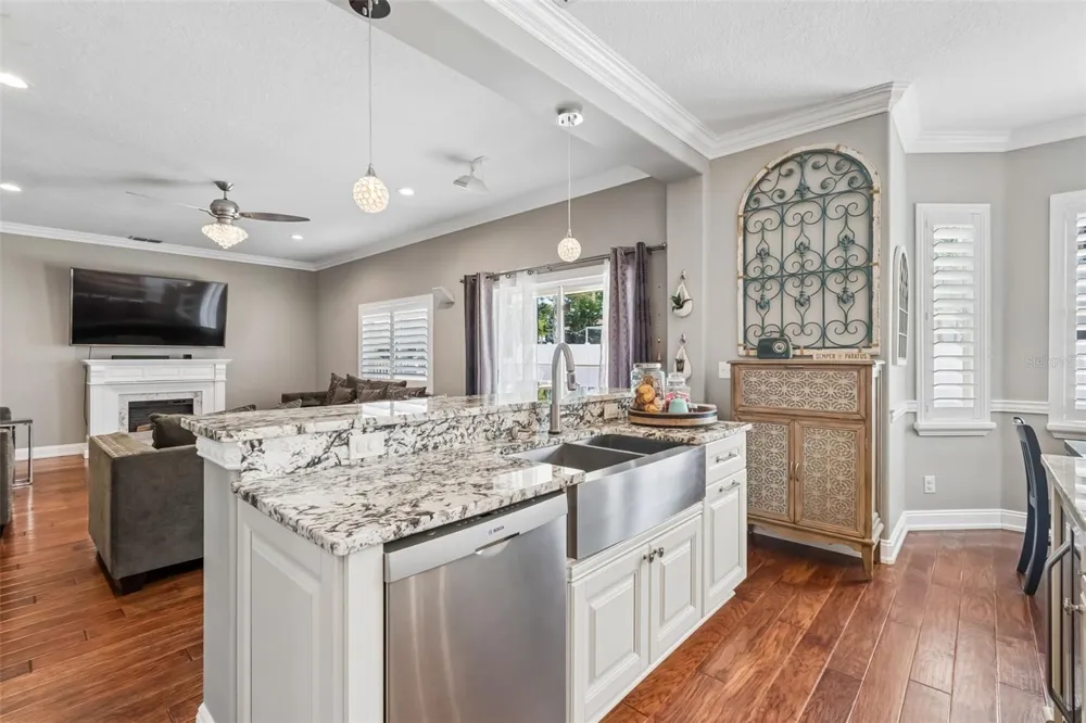 12507 ASHDOWN DRIVE Odessa, FL 33556