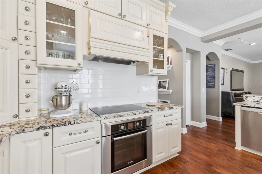 12507 ASHDOWN DRIVE Odessa, FL 33556