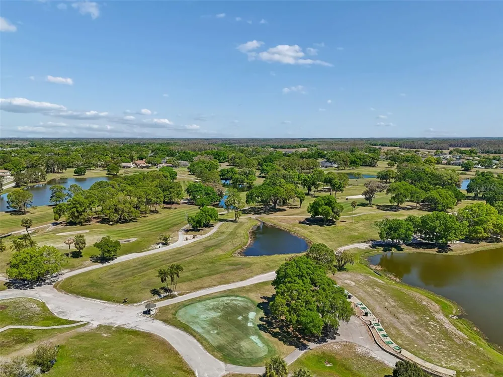 12507 ASHDOWN DRIVE Odessa, FL 33556