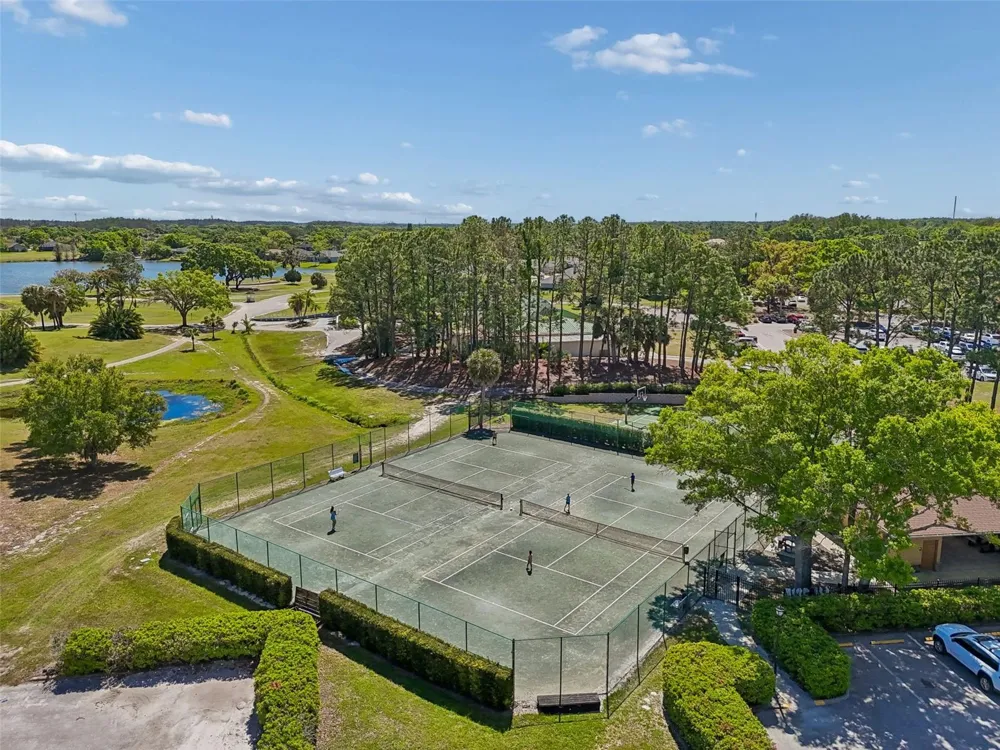 12507 ASHDOWN DRIVE Odessa, FL 33556