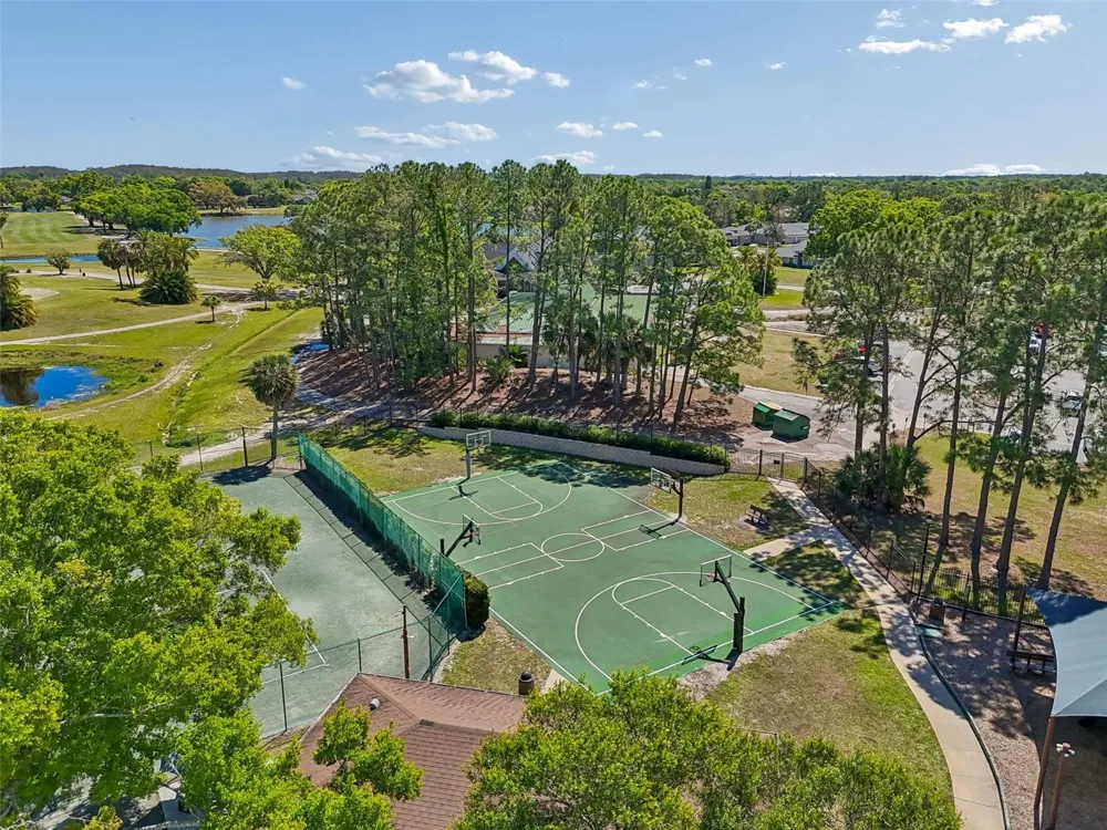 12507 ASHDOWN DRIVE Odessa, FL 33556