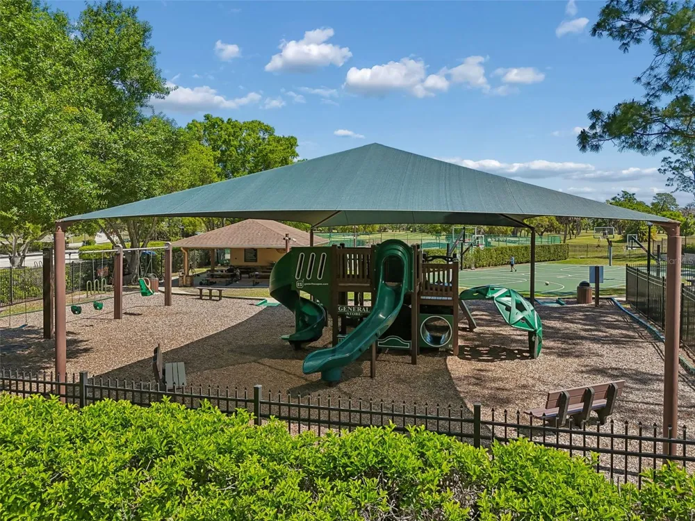 12507 ASHDOWN DRIVE Odessa, FL 33556