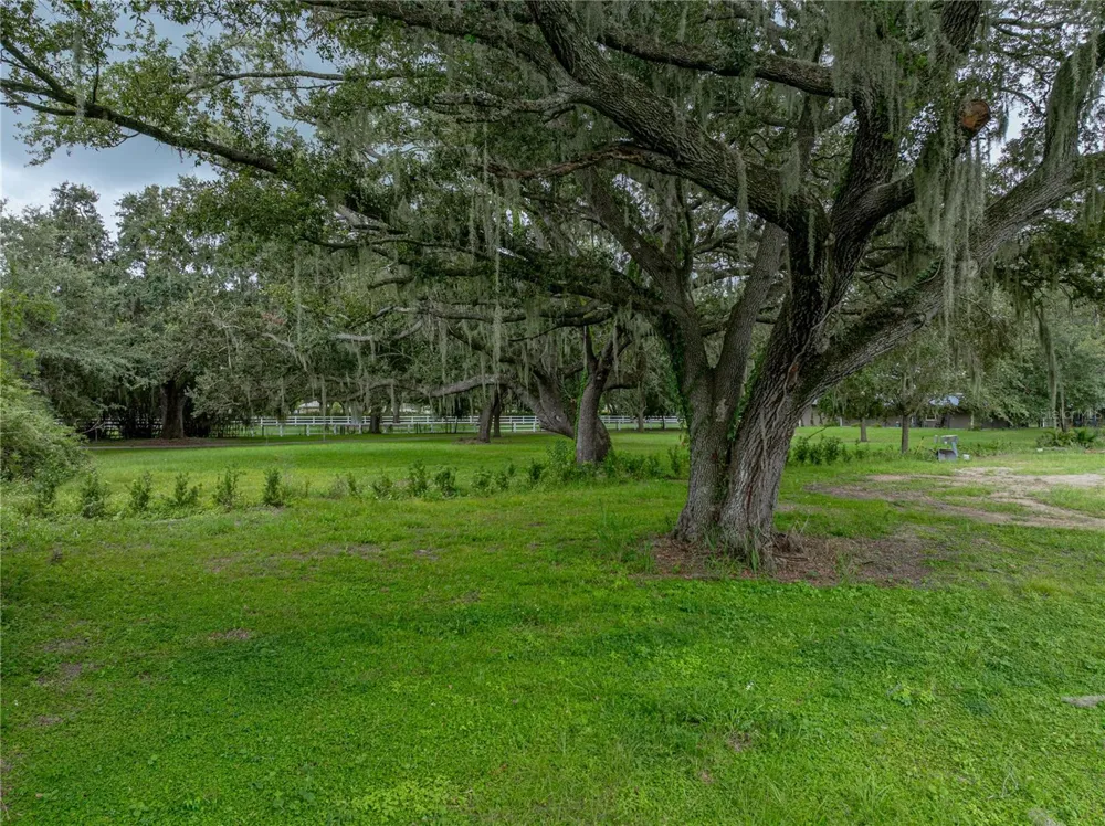 OLD BERKLEY ROAD Auburndale, FL 33823