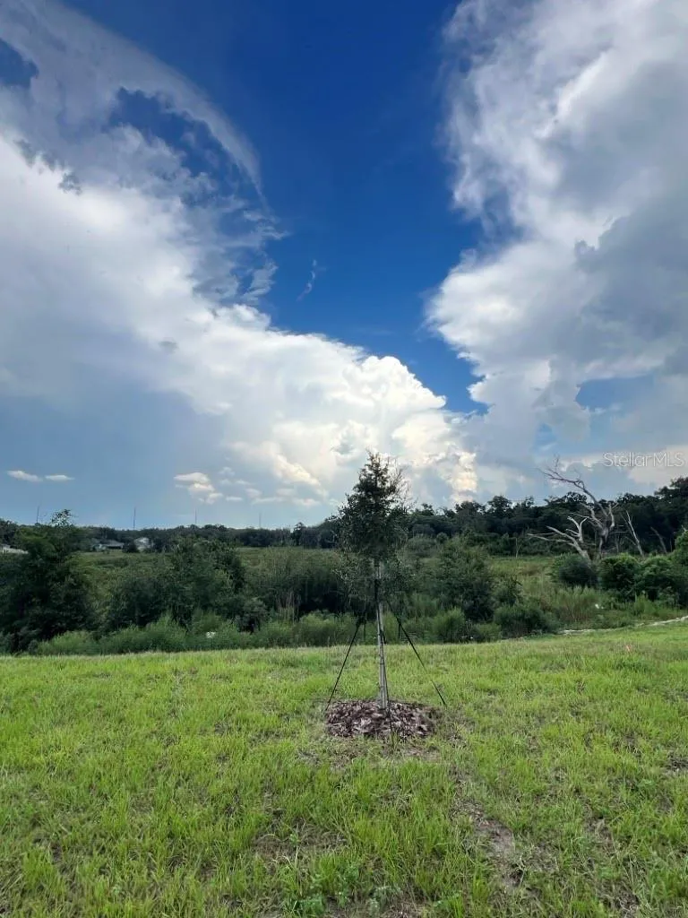 3309 SPINEYWOOD DRIVE Ocoee, FL 34761