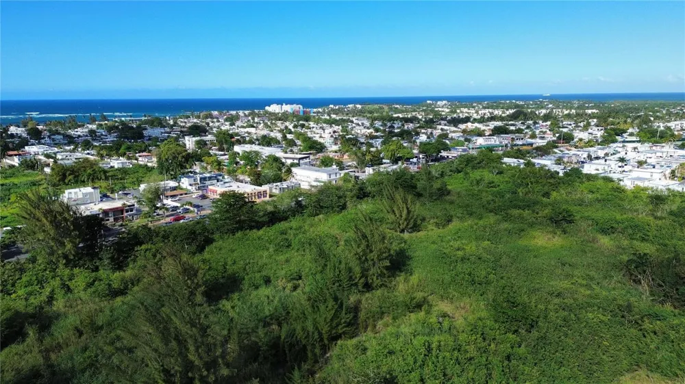 BO HIGUILLAR CARR. 695 KM. 3.2 Dorado, PR 00646