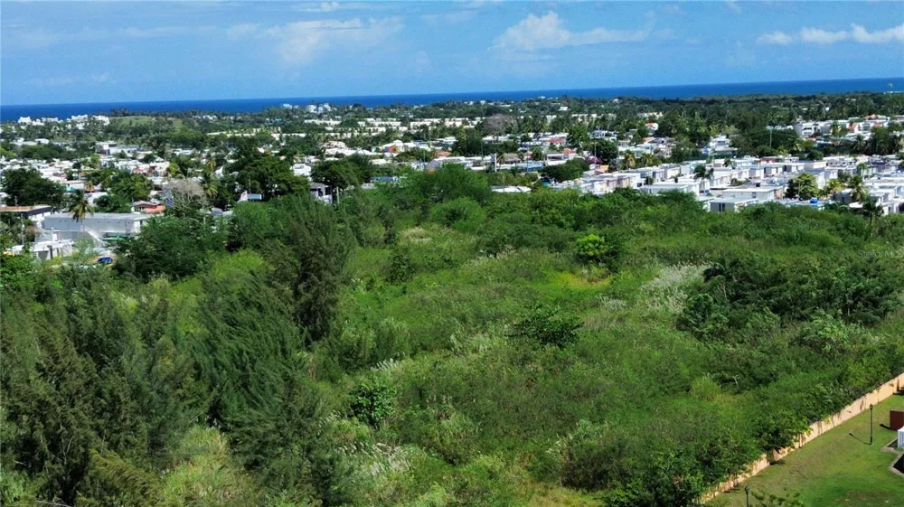 BO HIGUILLAR CARR. 695 KM. 3.2 Dorado, PR 00646
