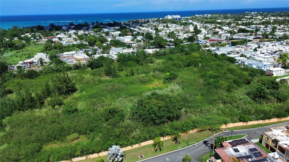 BO HIGUILLAR CARR. 695 KM. 3.2 Dorado, PR 00646
