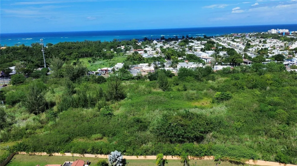 BO HIGUILLAR CARR. 695 KM. 3.2 Dorado, PR 00646