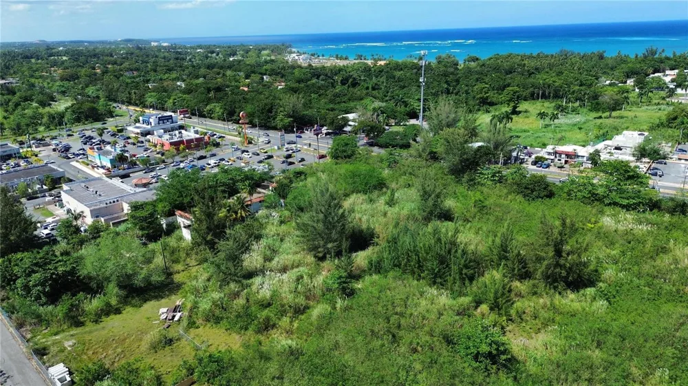 BO HIGUILLAR CARR. 695 KM. 3.2 Dorado, PR 00646