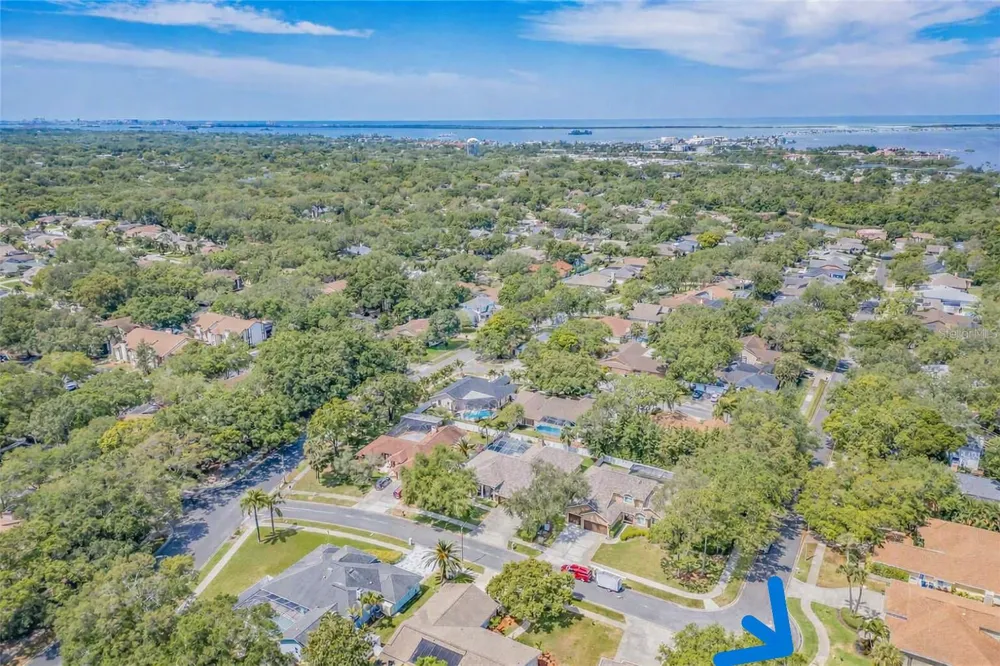 2899 TURTLE TERRACE Palm Harbor, FL 34683