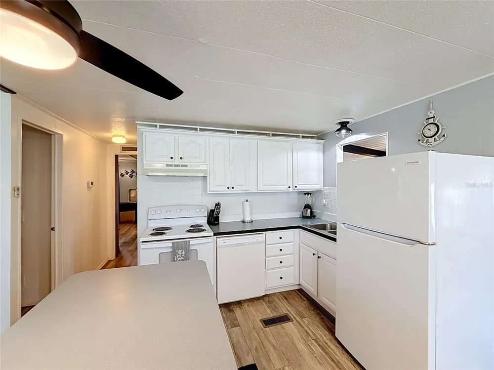 1025 CAPELLA DRIVE Tavares, FL 32778