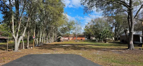 IMMOKALEE STREET