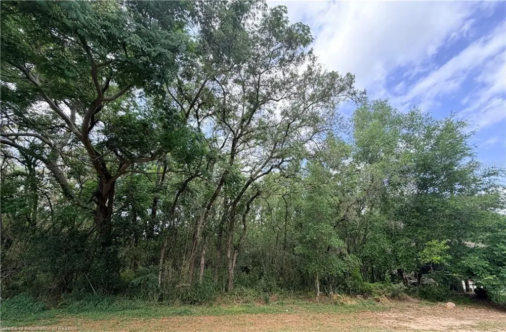 1727 BERKLEY ROAD Avon Park, FL 33825
