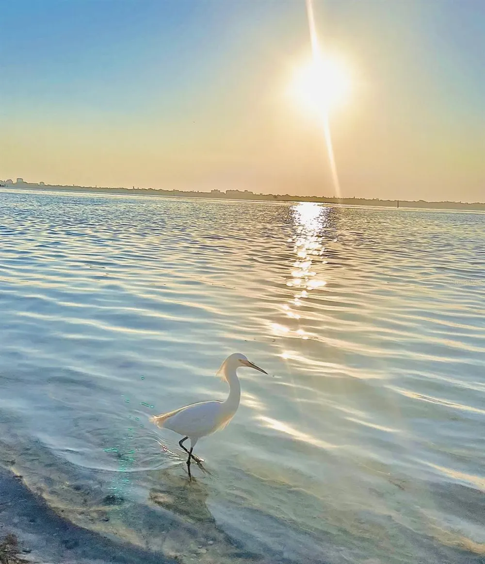 2301 GULF OF MEXICO DRIVE #44N Longboat Key, FL 34228