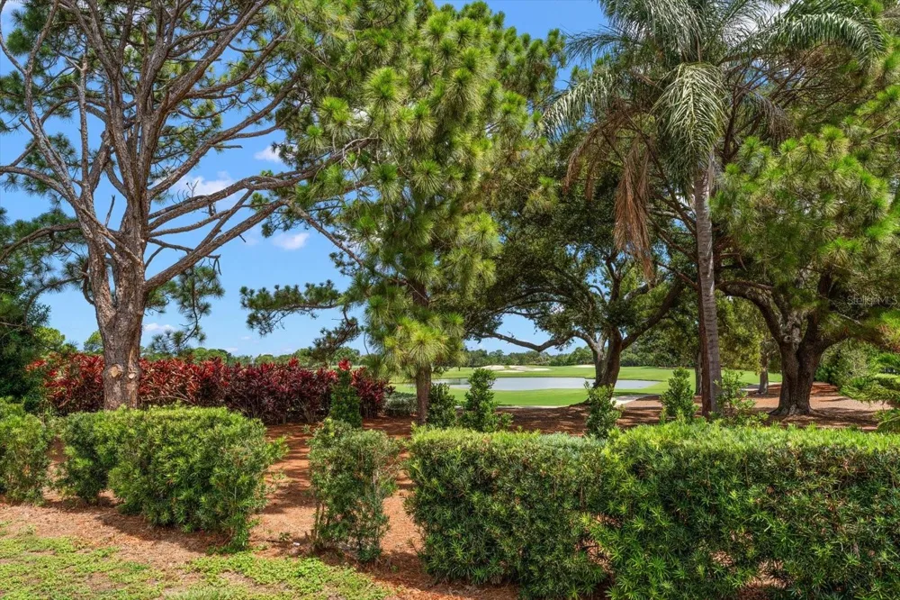 668 MEHLENBACHER ROAD Belleair, FL 33756