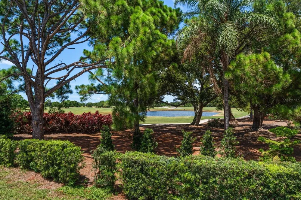 668 MEHLENBACHER ROAD Belleair, FL 33756