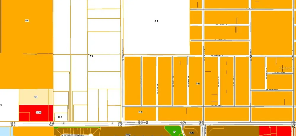 TBD SE 80TH AVENUE Summerfield, FL 34491