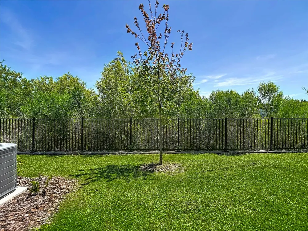 32067 SPICEBERRY STREET San Antonio, FL 33576