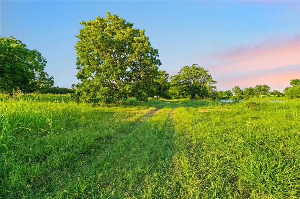 HWY 287 Kerens, TX 75144