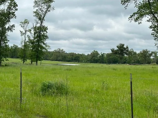Co Rd 235 Oakwood, TX 75855