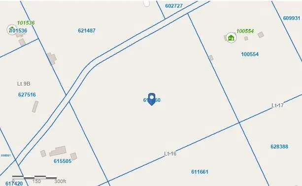 Co Rd 235 Oakwood, TX 75855