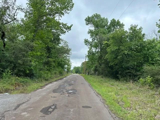 Co Rd 235 Oakwood, TX 75855