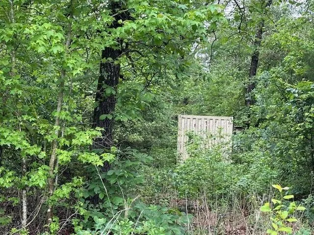 Co Rd 235 Oakwood, TX 75855